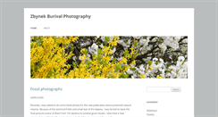 Desktop Screenshot of burivalphotography.com